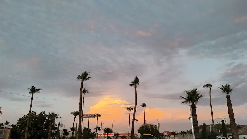 When you want pizza but there is a bit of a dust storm going on. It's clearing up a bit now, but coarse fog is weird.