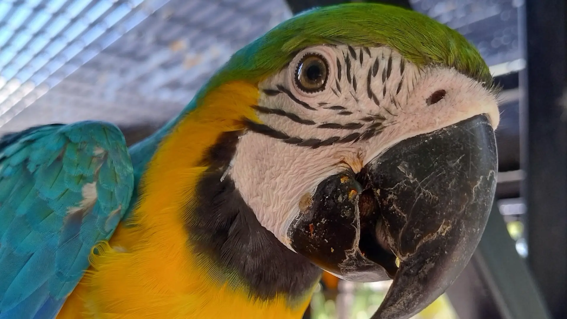 At the Observatorio Mazatlán 1873.